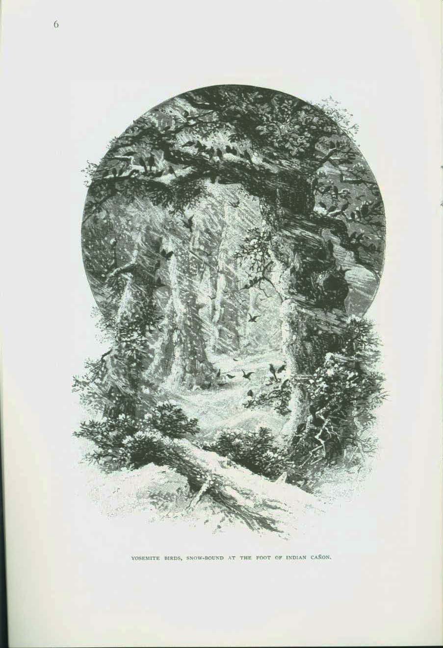 THE YOSEMITE IN WINTER: an 1892 account. vikst0053d
